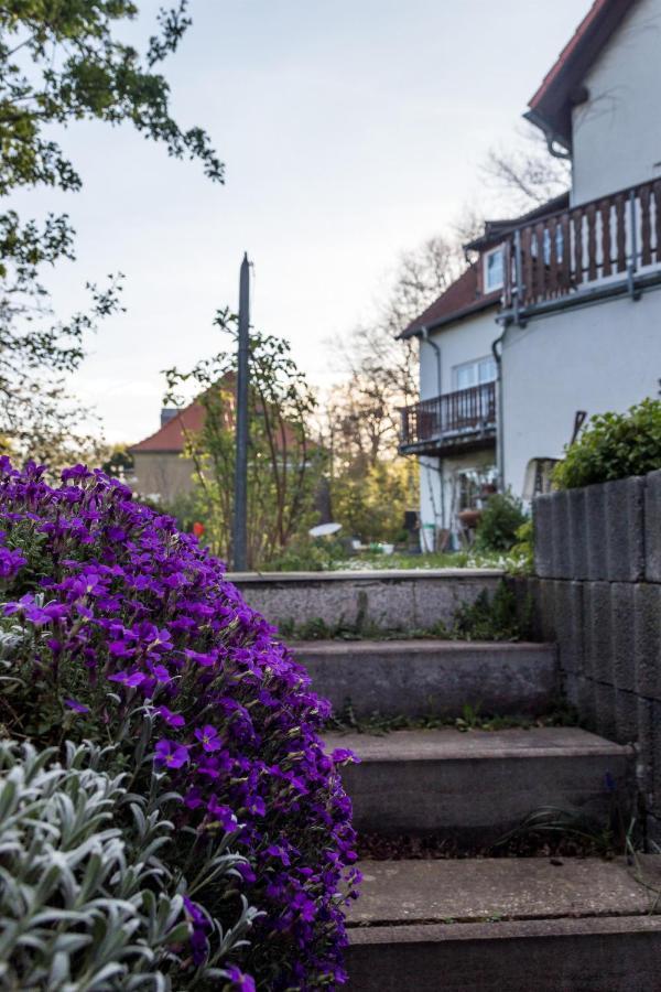 Gaestehaus Bechtloff Meißen 外观 照片